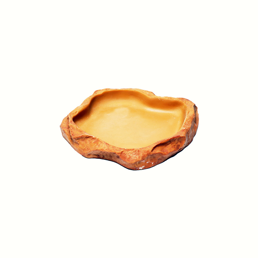 Feeding Dish, Small