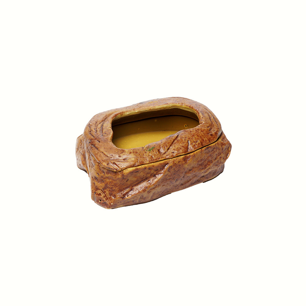 Worm Dish