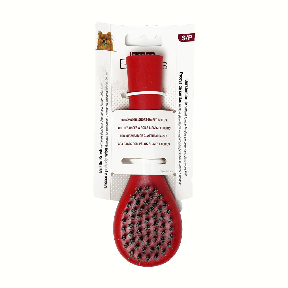 Le Salon Bristle Brush, Small