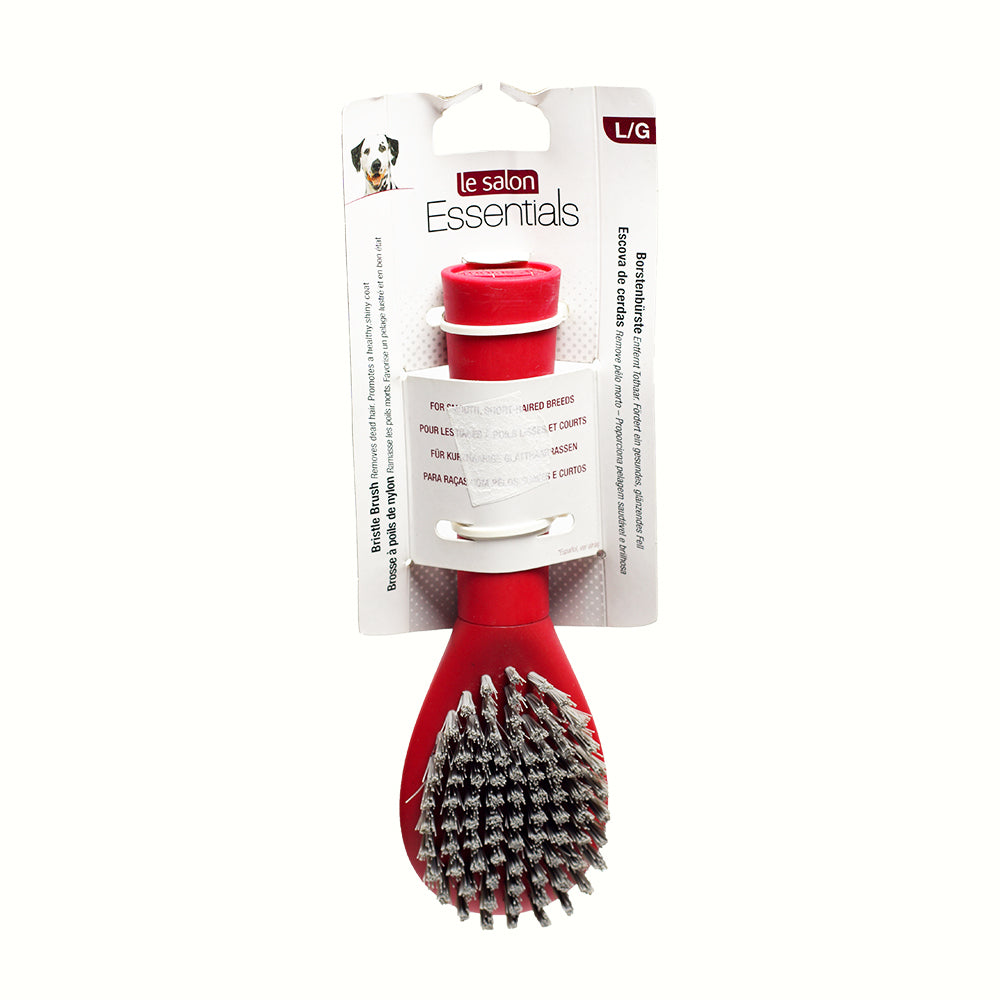 Le Salon Bristle Brush, Large
