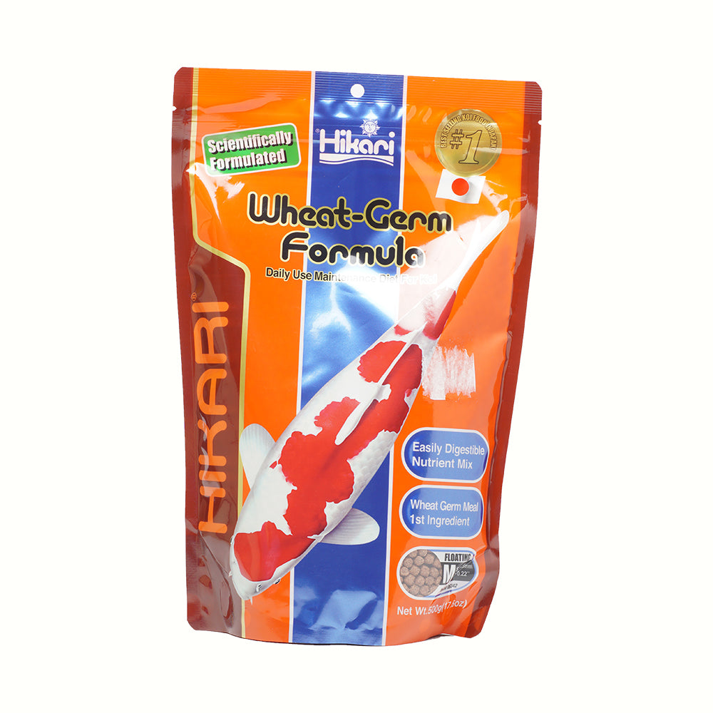 Hikari Gold 500g - M
