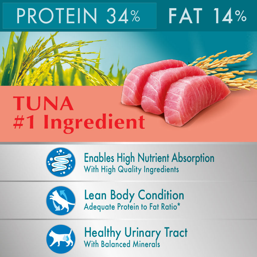 Purina One Adult Cat Food Salmon & Tuna 6.6kg