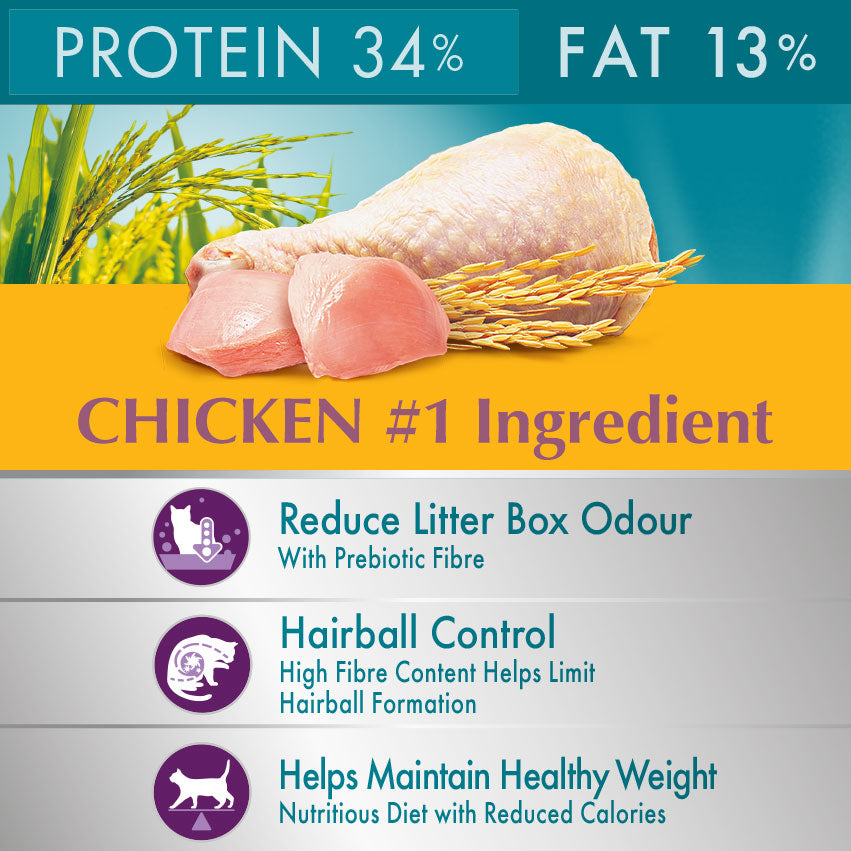 Purina One Indoor Cat Food with Chicken 380g