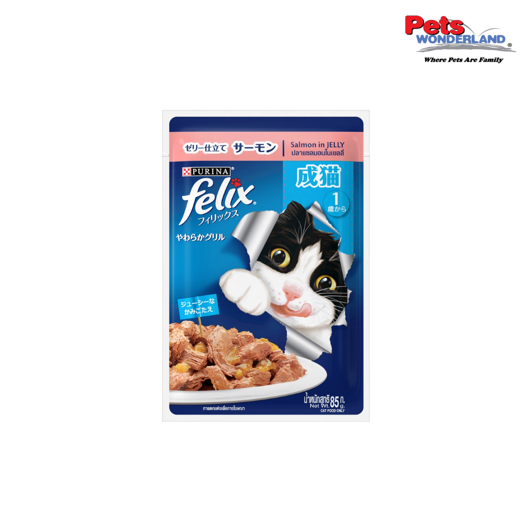 Felix Salmon Adult Cat Pouch 70g