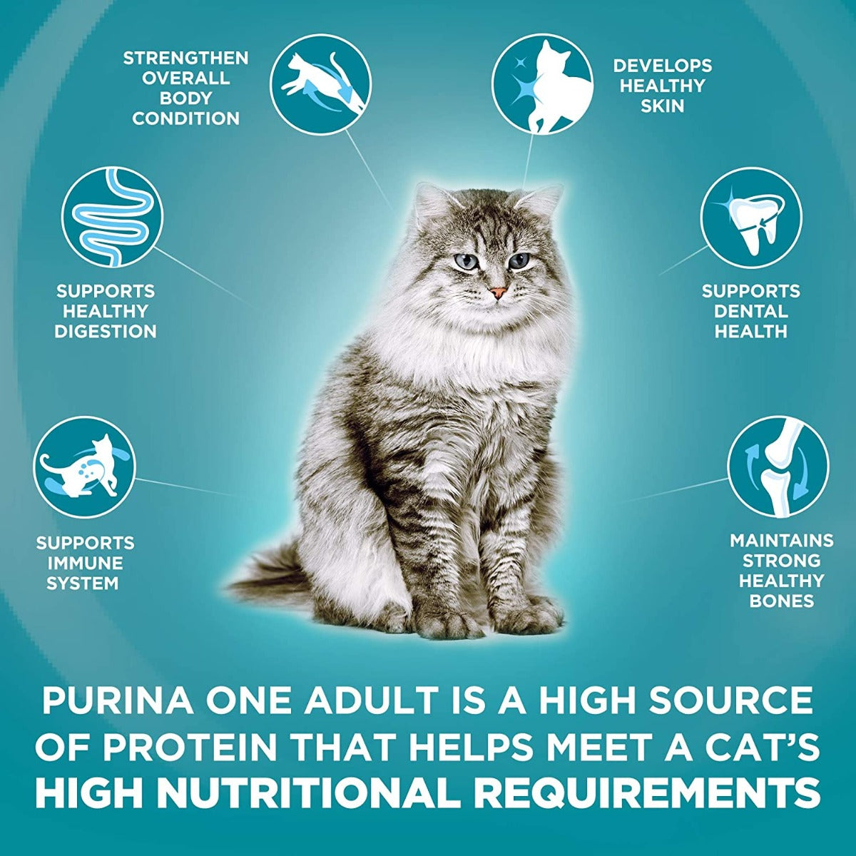 Purina One Adult Salmon & Tuna 1.2kg