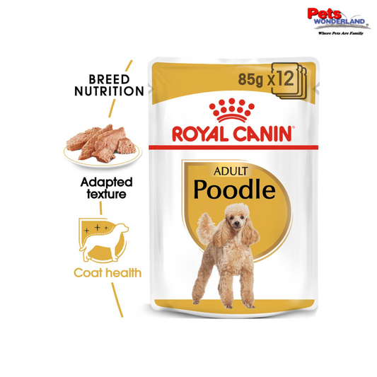 Royal Canin Poodle Adult Dog Wet Pouch 85g