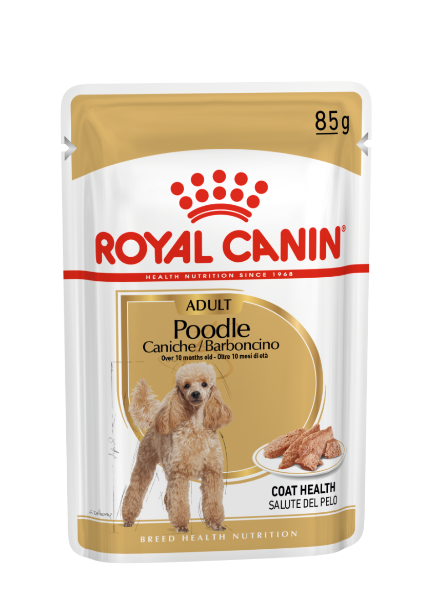 Royal Canin Poodle Adult Dog Wet Pouch 85g