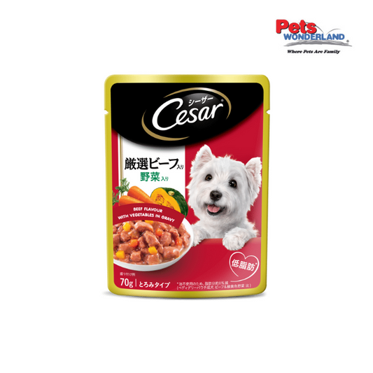 CESAR Dog Wet Pouch Beef with Vegetables