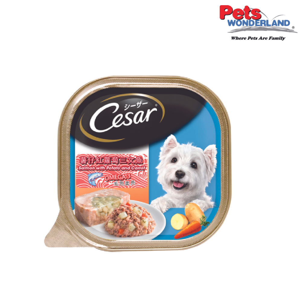 CESAR - Salmon With Potato & Carrot (100g)