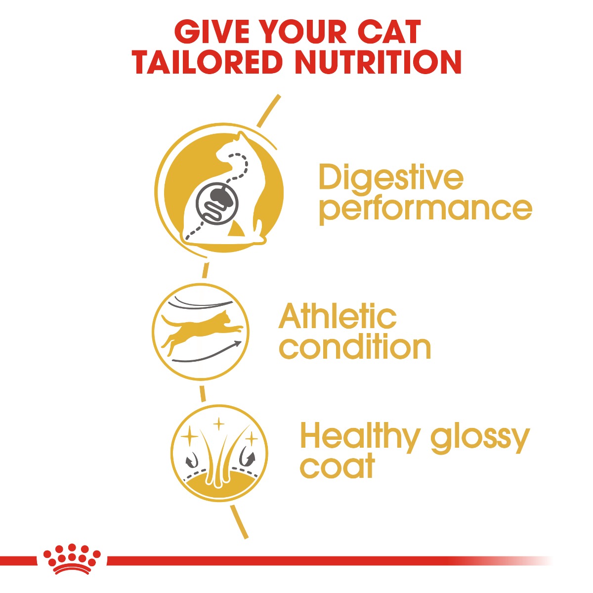 Royal Canin Bengal Adult Cat Dry Food 400g