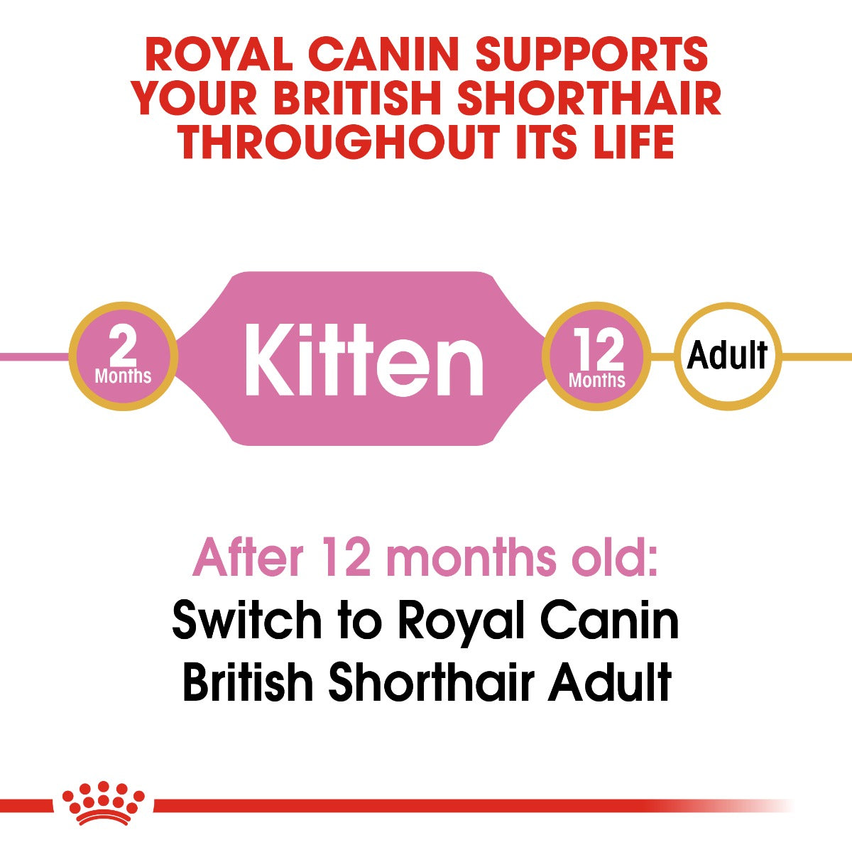 Royal Canin British Shorthair Kitten Cat Dry Food 2kg