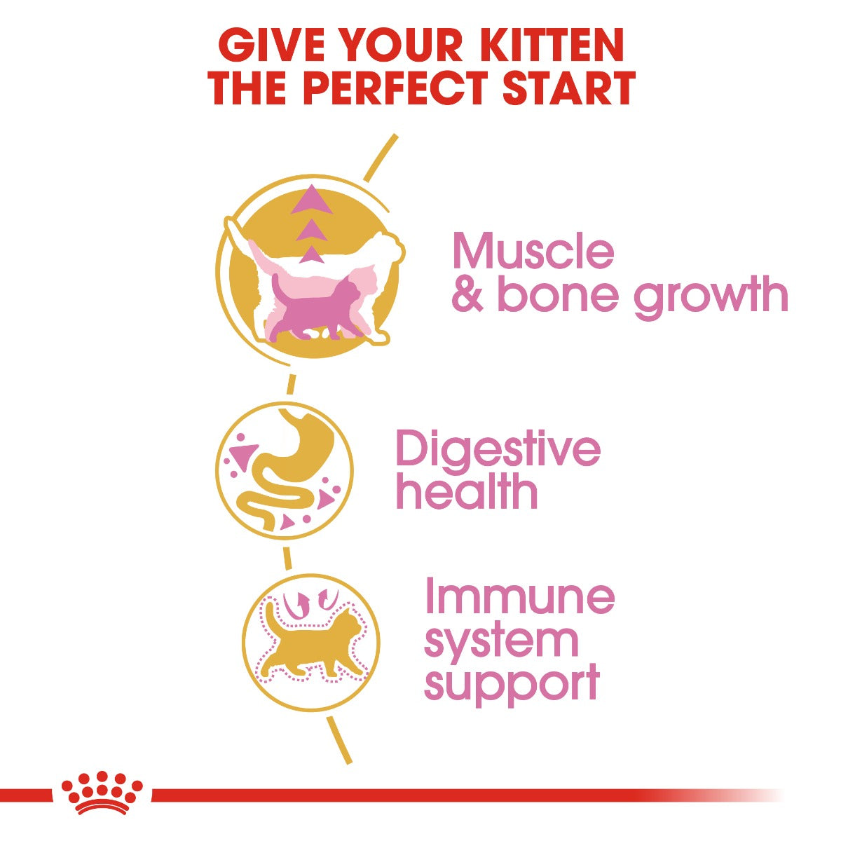 Royal Canin British Shorthair Kitten Cat Dry Food 2kg