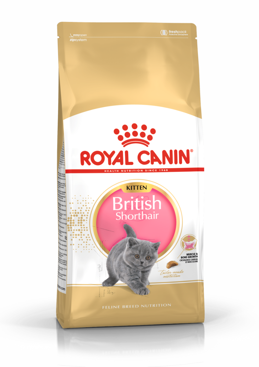 Royal Canin British Shorthair Kitten Cat Dry Food 2kg
