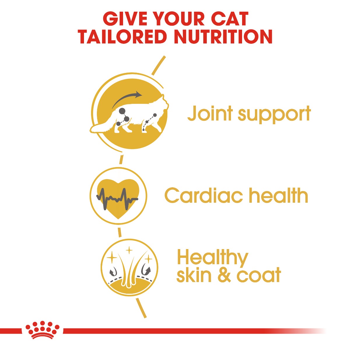 Royal Canin Maine Coon Adult Cat Dry Food 2kg