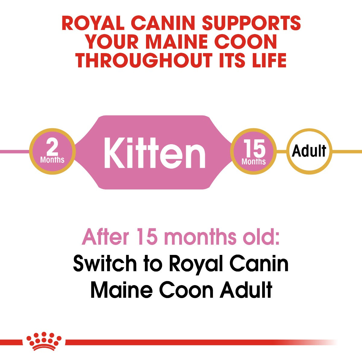 Royal Canin Maine Coon Kitten Cat Dry Food 2kg