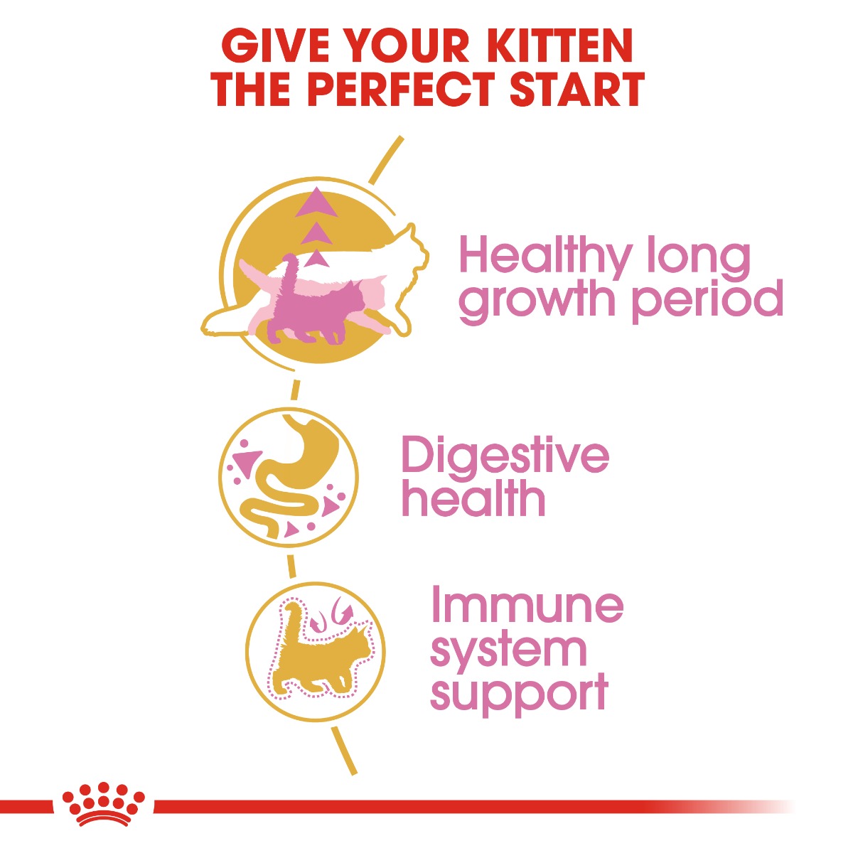 Royal Canin Maine Coon Kitten Cat Dry Food 2kg