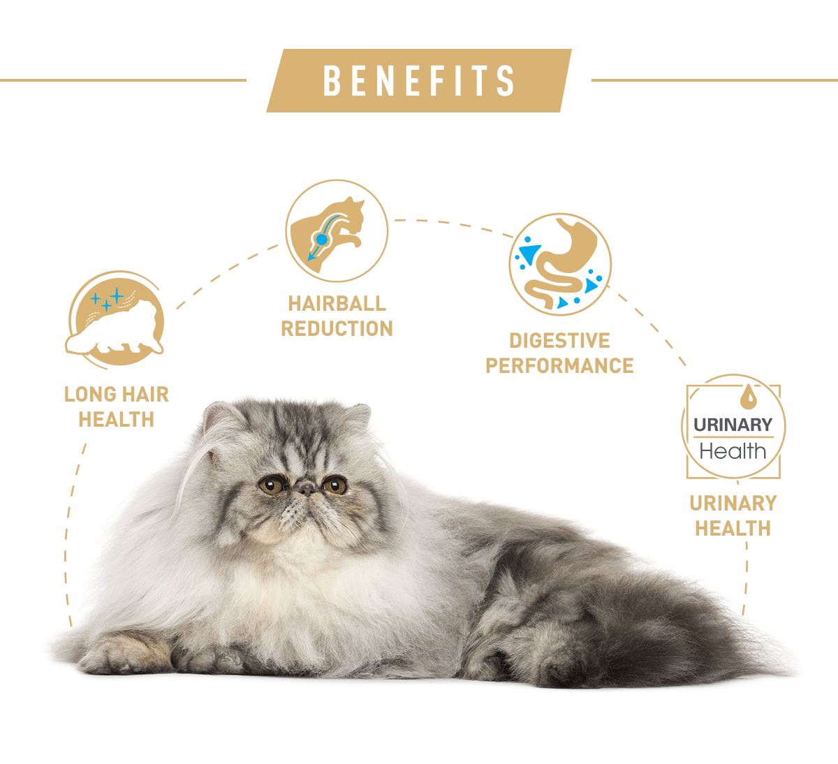 Royal Canin Persian Adult Cat Dry Food 400g
