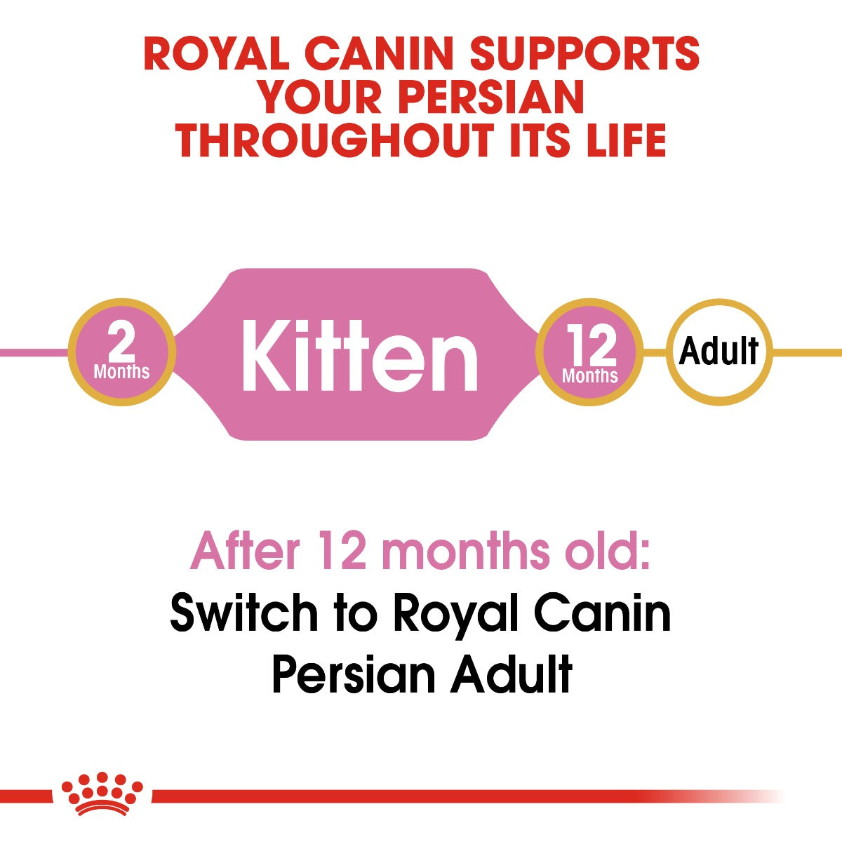 Royal Canin Kitten Persian Cat Dry Food 10kg