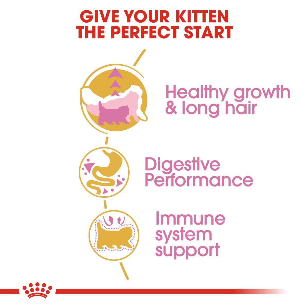 Royal Canin Kitten Persian Cat Dry Food 2kg