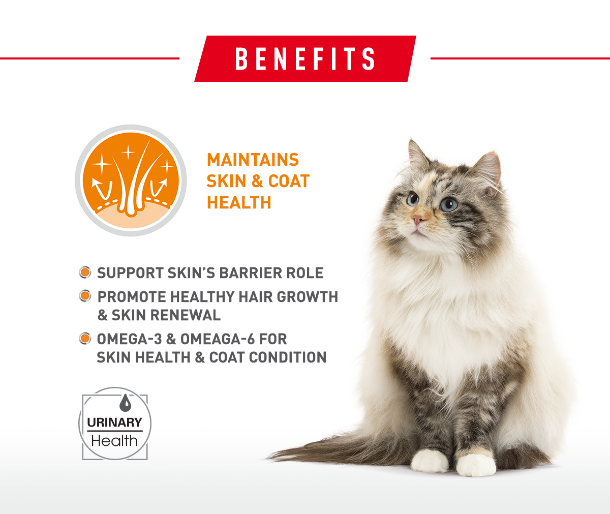 Royal Canin Hair & Skin Cat Dry Food 4kg