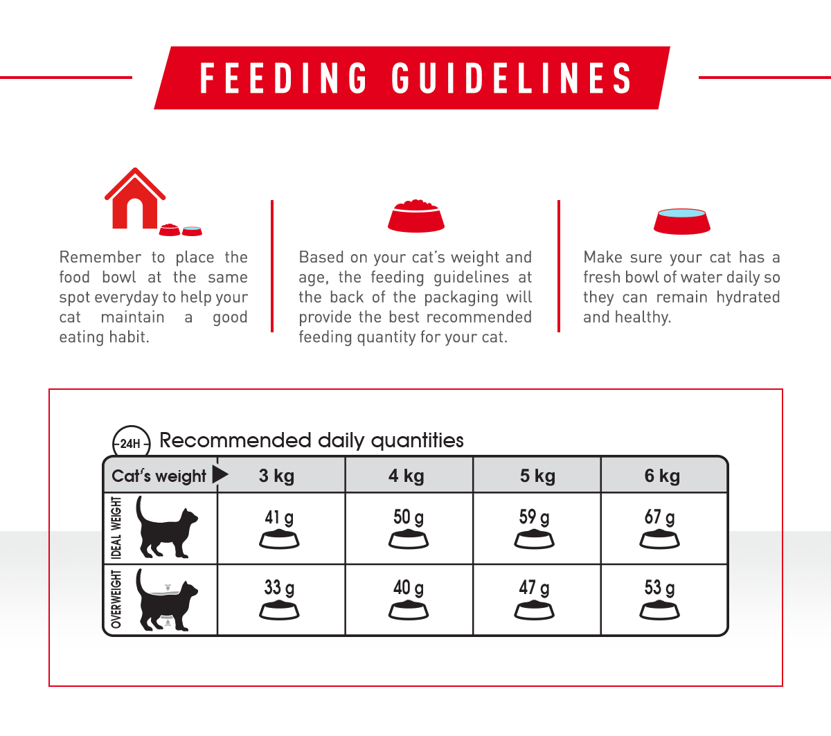 Royal Canin Hair & Skin Cat Dry Food 400g