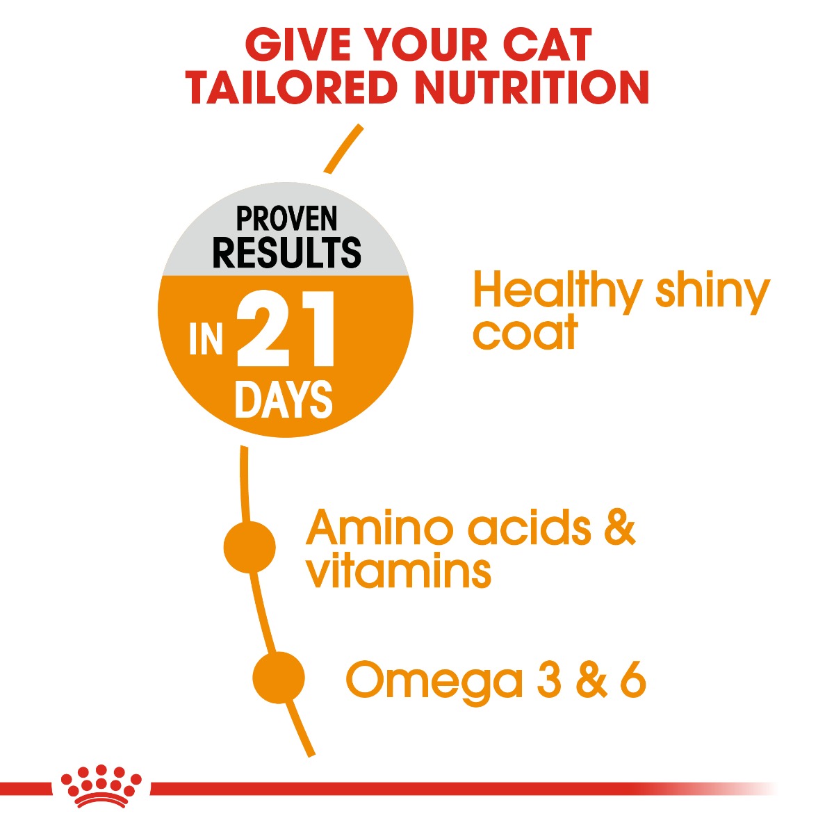 Royal Canin Hair & Skin Cat Dry Food 4kg