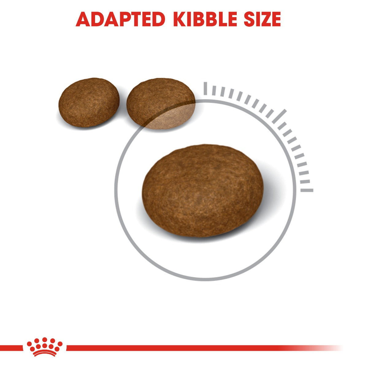 Royal Canin Hair & Skin Cat Dry Food 400g