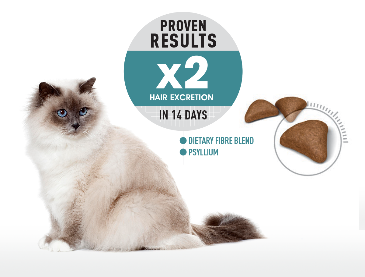 Royal Canin Hairball Care Cat Dry Food 2kg