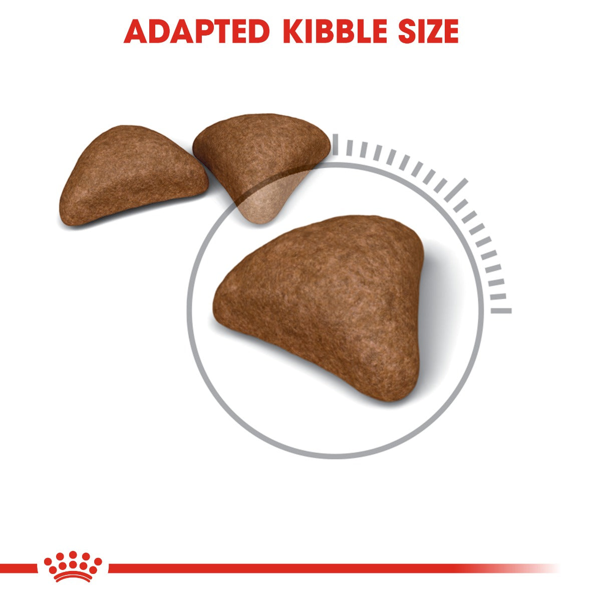 Royal Canin Hairball Care (Feline Care Nutrition) 4kg