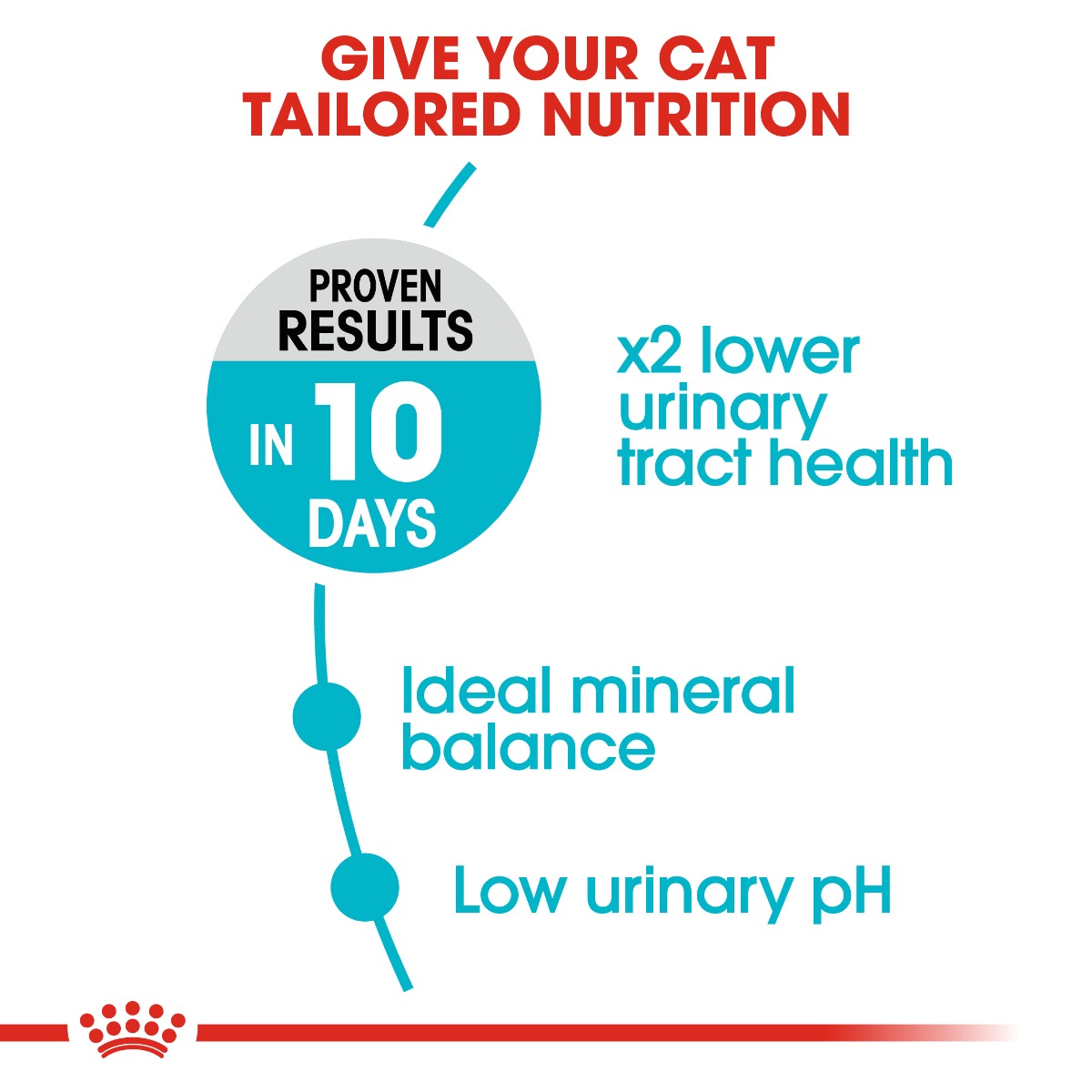 Royal Canin Urinary Care Cat Dry Food 10kg