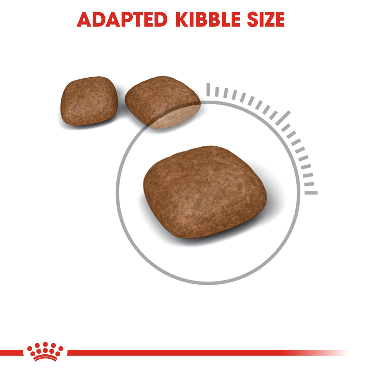 Royal Canin Urinary Care Cat Dry Food 10kg