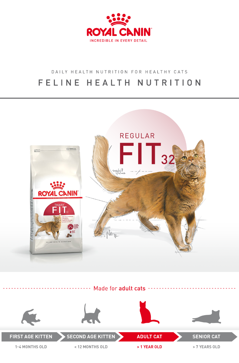 Royal Canin Regular Fit 32 Cat Dry Food 2kg