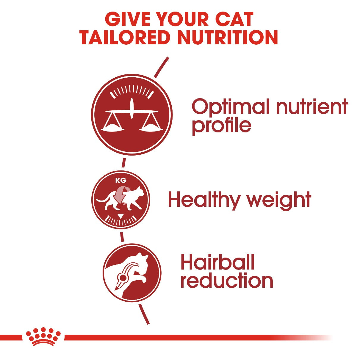 Royal Canin Regular Fit 32 Cat Dry Food 400g
