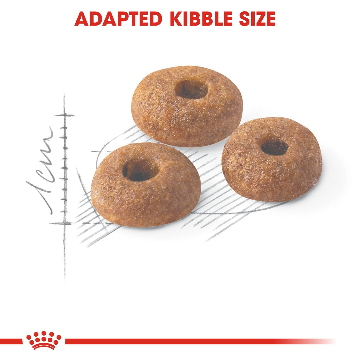 Royal Canin Regular Fit 32 Cat Dry Food 400g