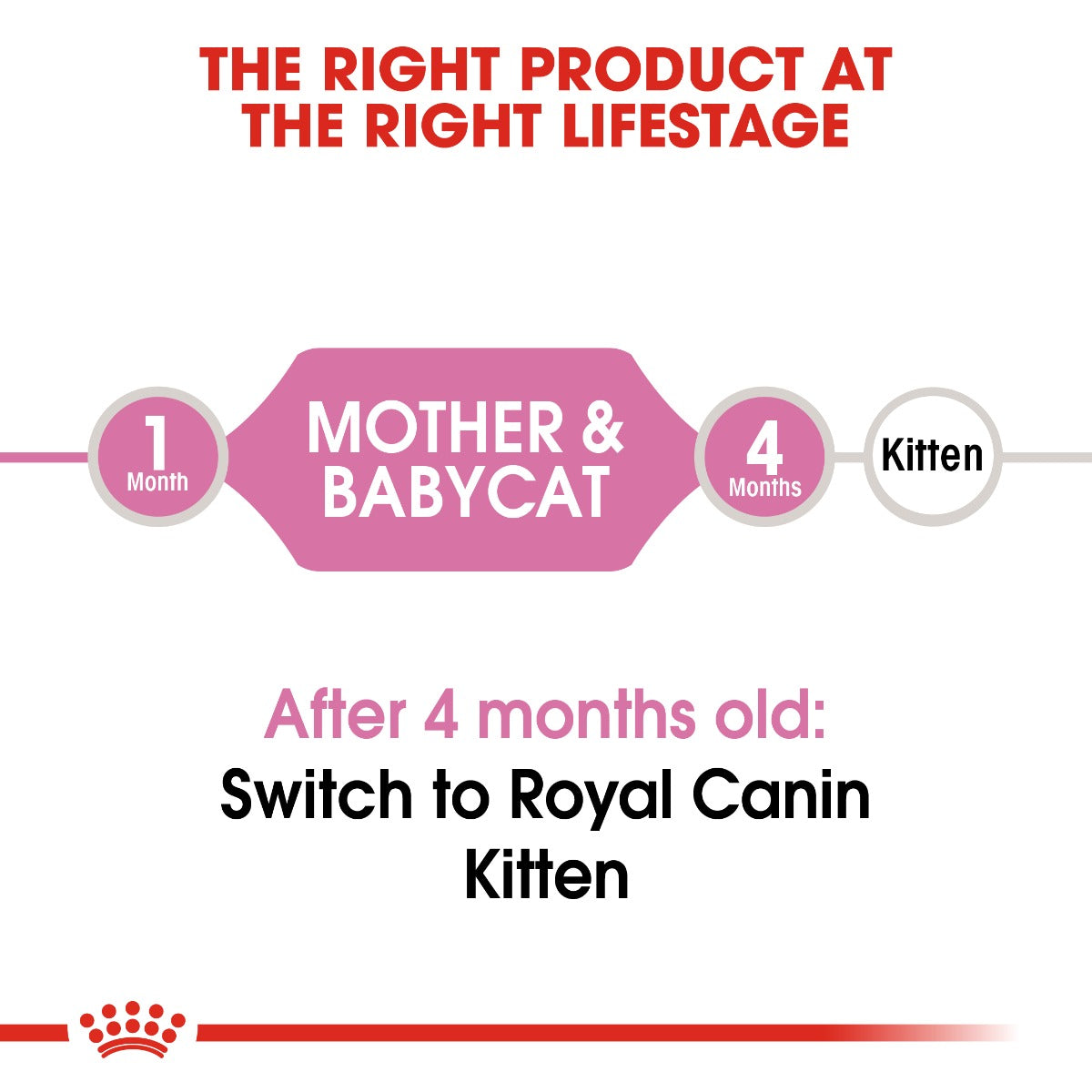 Royal Canin Mother & Baby Cat Dry Food 4kg