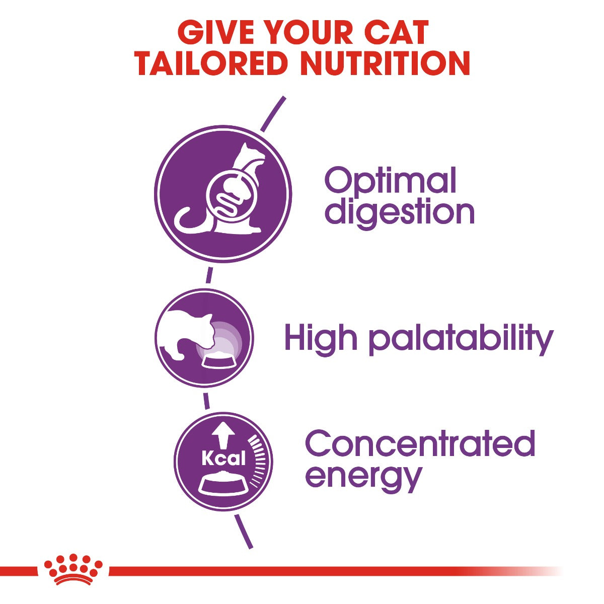 Royal Canin Regular Sensible 33 Cat Dry Food 400g
