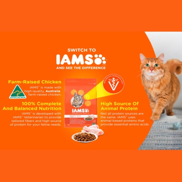 IAMS Cat Dry Food Adult Tuna&Salmon 8kg