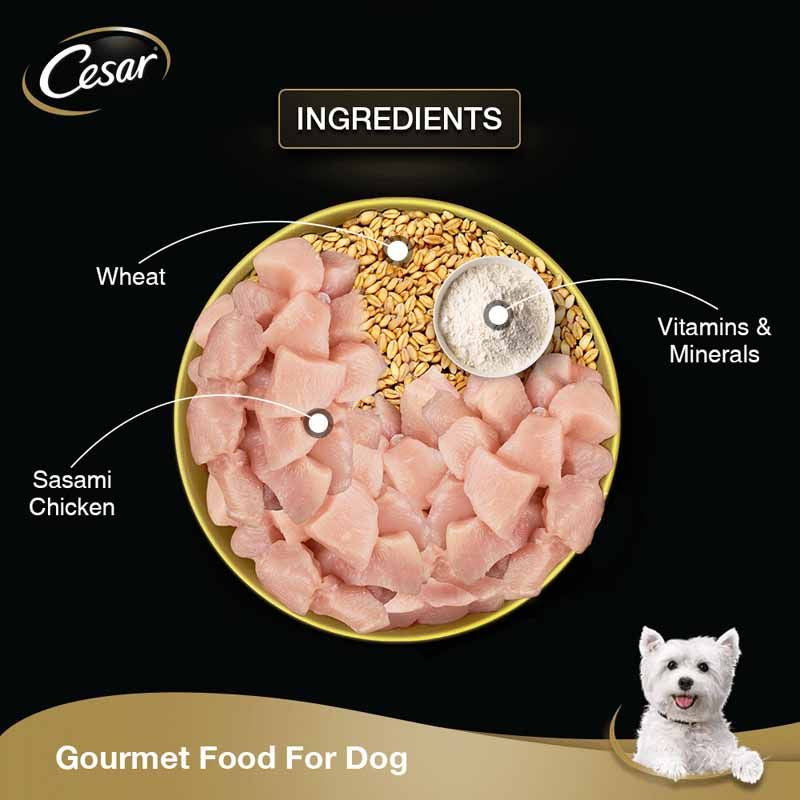 CESAR Dog Wet Pouch Chicken & Surimi and Vegetable in Jelly
