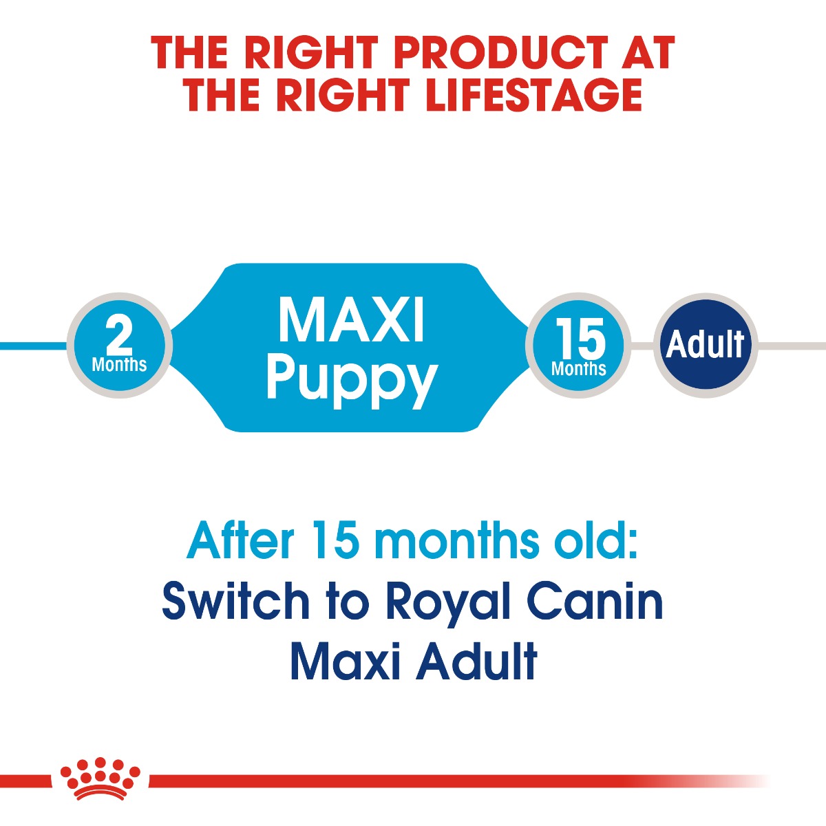 Royal Canin Puppy Maxi Dog Dry Food 4kg