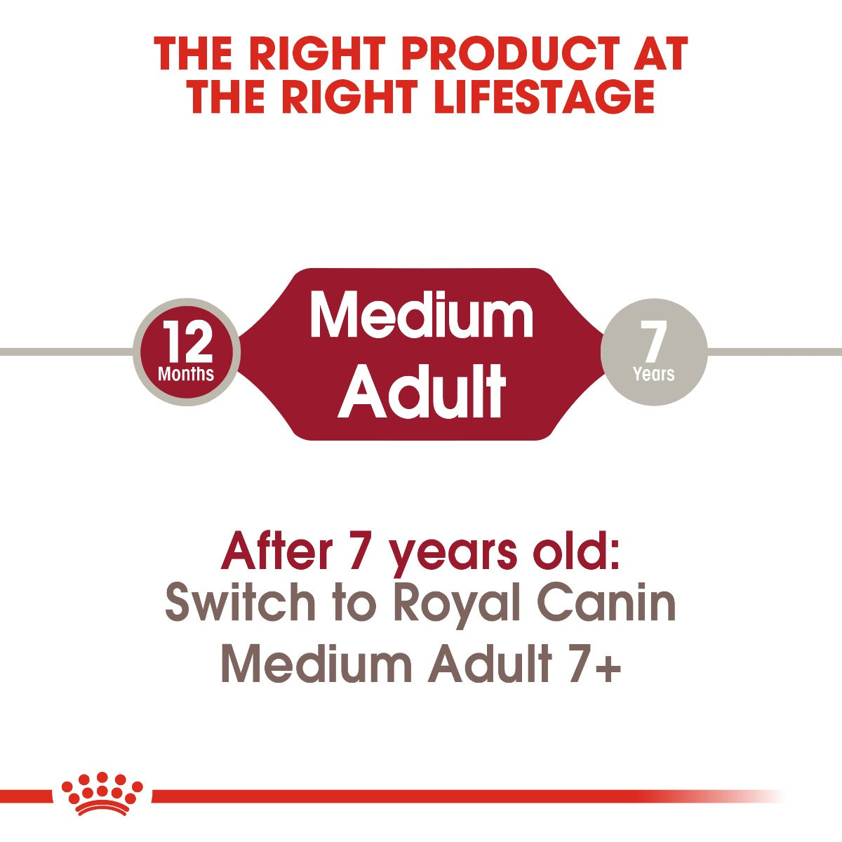 Royal Canin Medium Adult (Size Health Nutrition) 4kg
