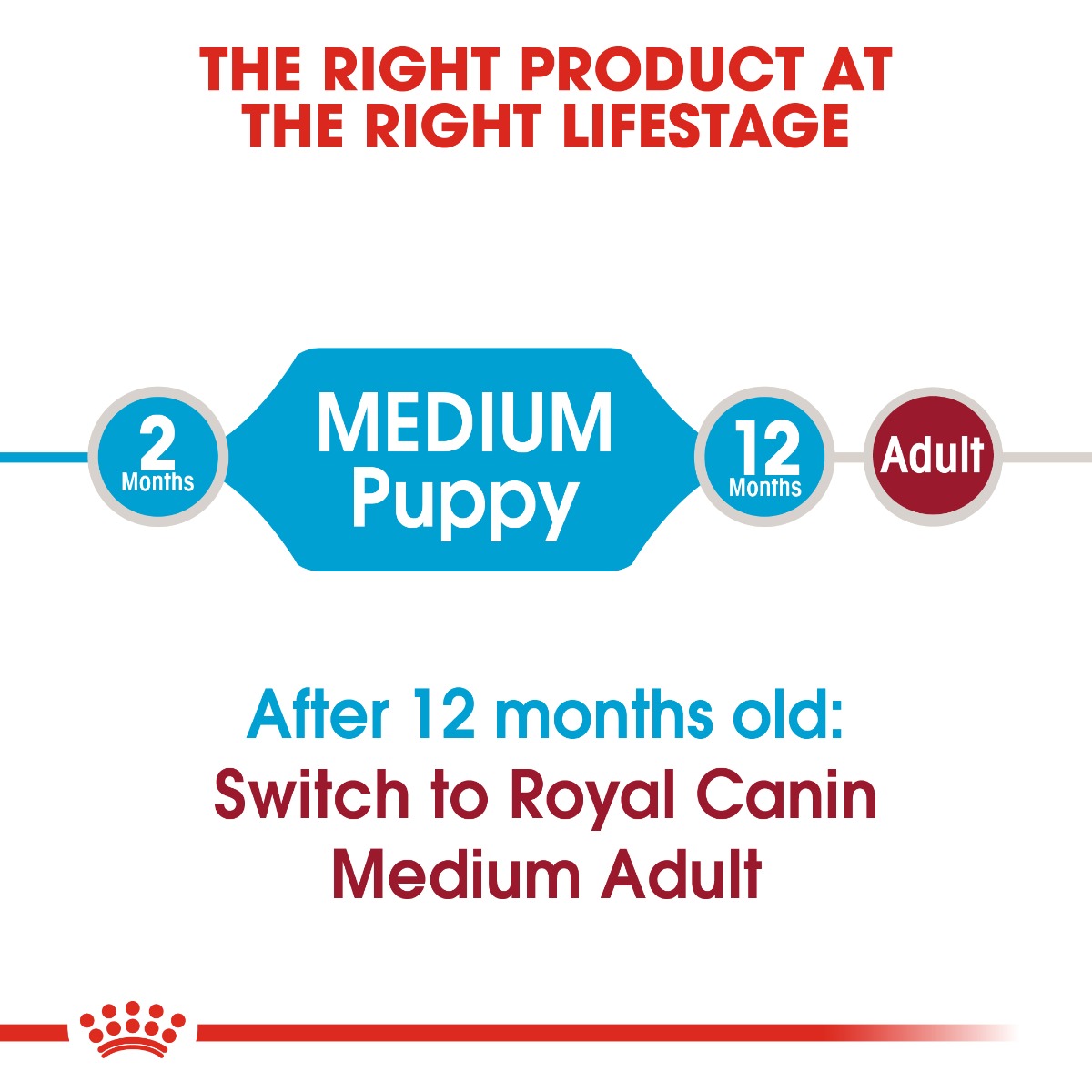 Royal Canin Medium Puppy Dog Dry Food 4kg