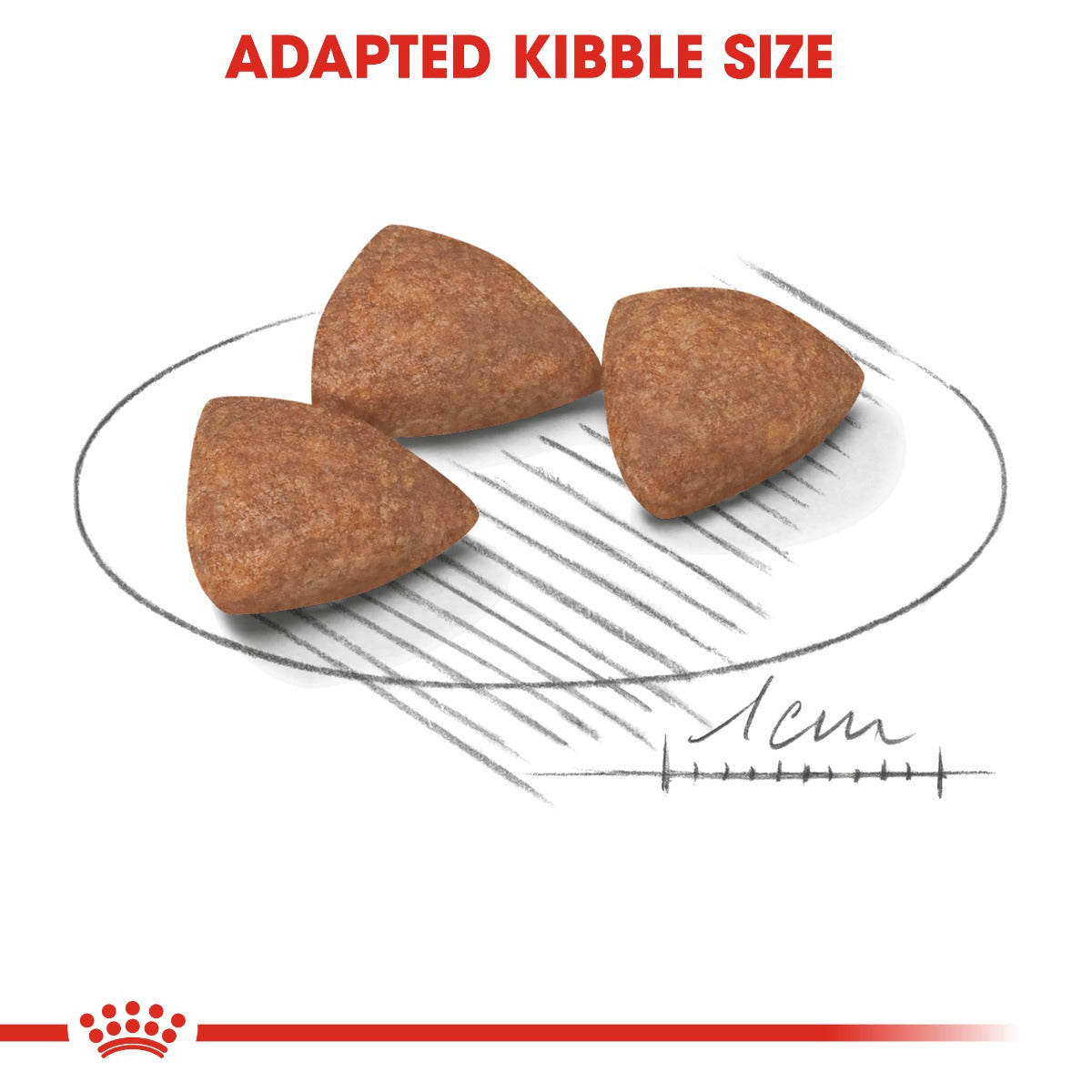 Royal Canin Dog Mini Indoor Adult Dog Dry Food 3kg