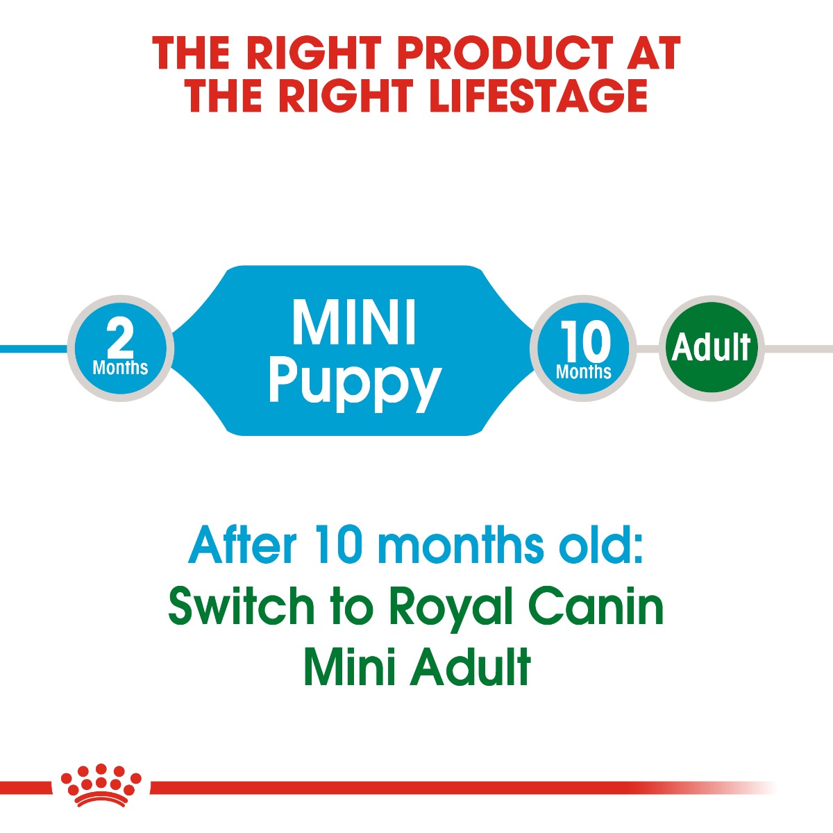 Royal Canin Mini Puppy (Size Health Nutrition) 2kg