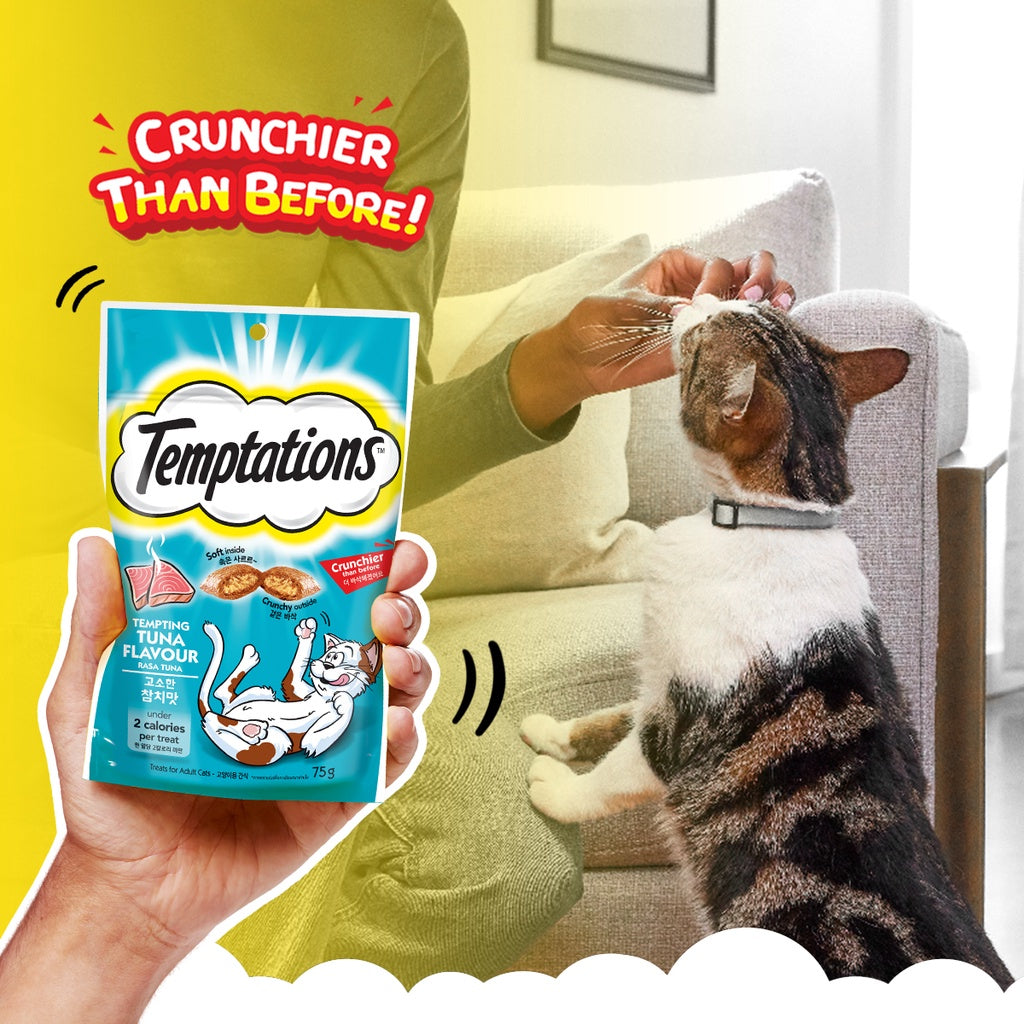 TEMPTATIONS Cat Treat Adult Savoury Salmon 75g