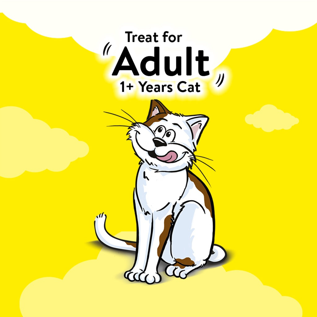 TEMPTATIONS Cat Treat Adult Seafood Medley 75g