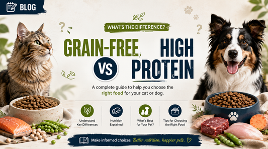 Grain-Free vs High Protein Pet Food: What’s the Difference?