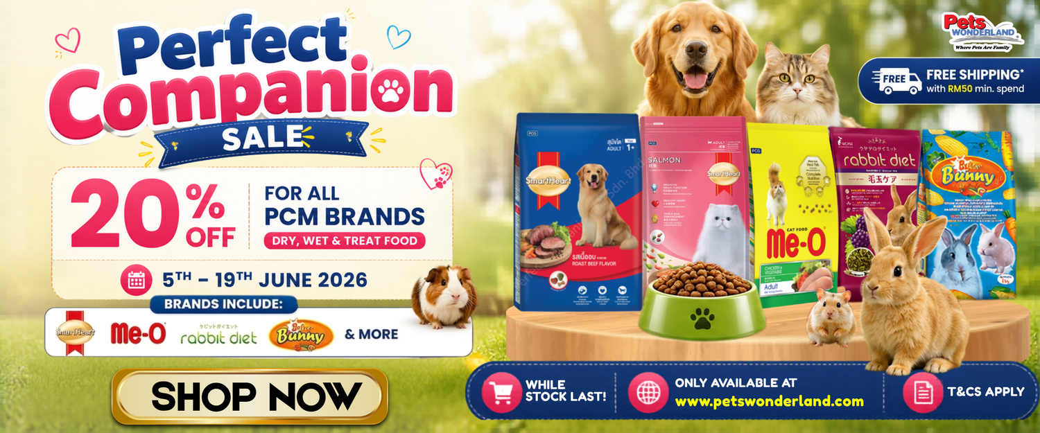 Perfect Companion Promotion
