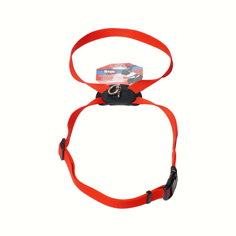 Coastal Harness Right Size 3/4 Medium