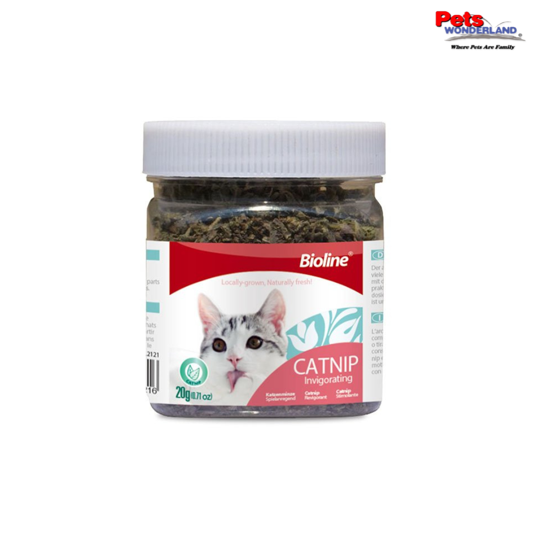 Bioline Catnip 20g