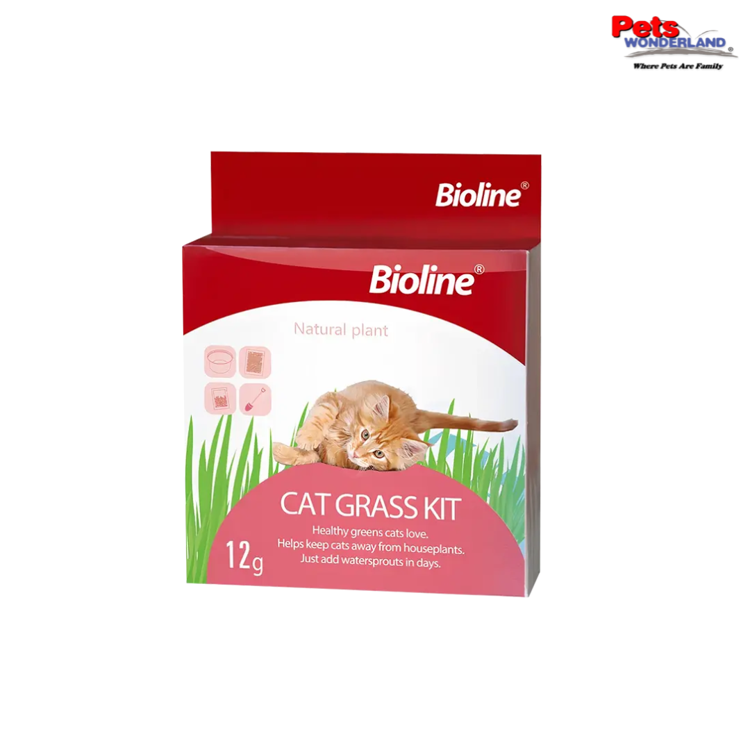 Bioline Cat Grass Kit 12g